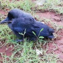 фото из отзыва ID 2124678