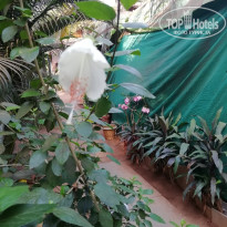 фото из отзыва ID 2124678