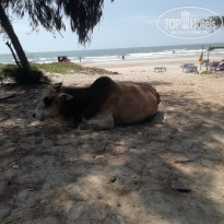 фото из отзыва ID 2124678