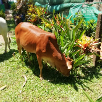 фото из отзыва ID 2124678