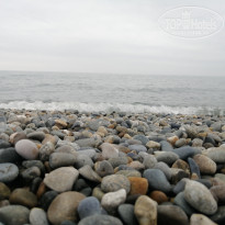 фото из отзыва ID 2124712