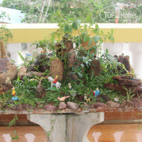 фото из отзыва ID 2121833