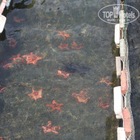 фото из отзыва ID 2121833