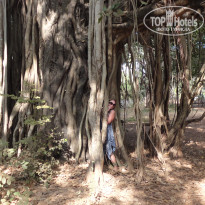 фото из отзыва ID 2124828