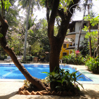 фото из отзыва ID 2124828