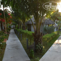 фото из отзыва ID 2124841