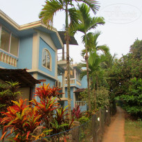 фото из отзыва ID 2124989