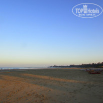 фото из отзыва ID 2124989