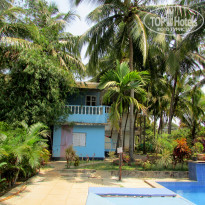 фото из отзыва ID 2124989