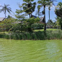 фото из отзыва ID 2124990