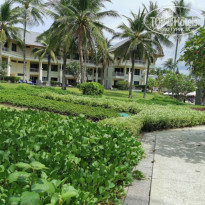 фото из отзыва ID 2124990