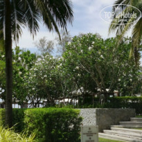 фото из отзыва ID 2124990