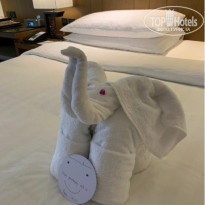 фото из отзыва ID 2124990