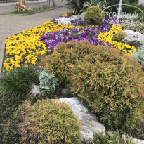 фото из отзыва ID 2124998