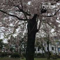 фото из отзыва ID 2124998