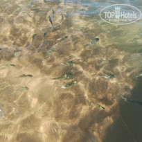 фото из отзыва ID 2125023