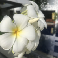 фото из отзыва ID 2125061