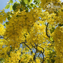 фото из отзыва ID 2125061