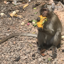 фото из отзыва ID 2125061