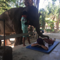 фото из отзыва ID 2125061