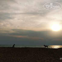 фото из отзыва ID 2125084