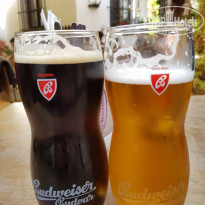 фото из отзыва ID 2125096