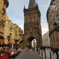 фото из отзыва ID 2125096