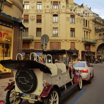 фото из отзыва ID 2125096