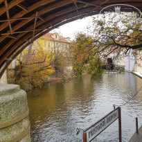 фото из отзыва ID 2125096