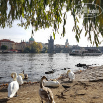 фото из отзыва ID 2125096