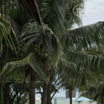 фото из отзыва ID 2125114