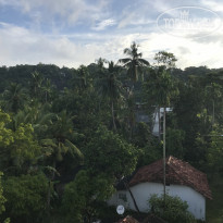 фото из отзыва ID 2125154