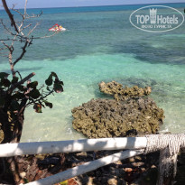 фото из отзыва ID 2125313