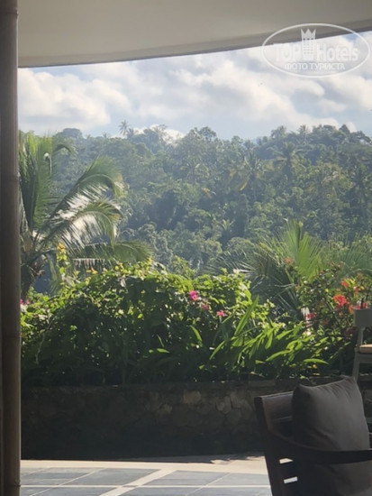 New photos from tourists The Kayon Jungle Resort 5*