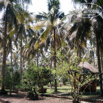 фото из отзыва ID 2125443