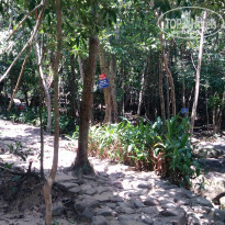 фото из отзыва ID 2125443