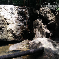 фото из отзыва ID 2125443