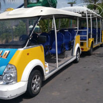 фото из отзыва ID 2125443