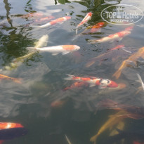 фото из отзыва ID 2125443