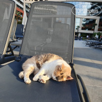 фото из отзыва ID 2125493