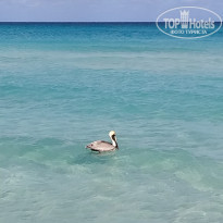 фото из отзыва ID 2125516