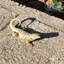 фото из отзыва ID 2125516