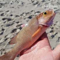 фото из отзыва ID 2125516