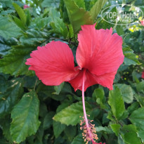 фото из отзыва ID 2125516