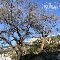 фото из отзыва ID 2125561