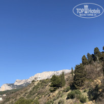 фото из отзыва ID 2125561