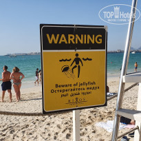 фото из отзыва ID 2125596