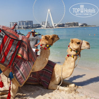 фото из отзыва ID 2125596