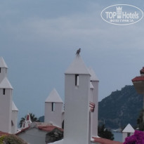 фото из отзыва ID 2125771