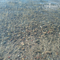 фото из отзыва ID 2125772